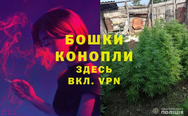 кокс Богданович