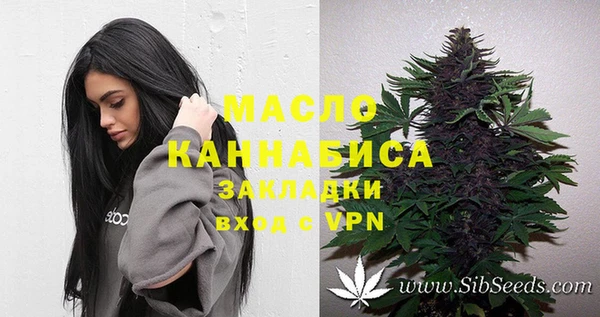 ECSTASY Богородицк