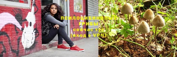 амф Богородск