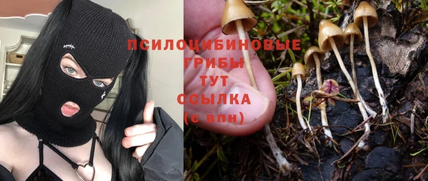 ECSTASY Богородицк