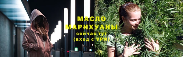 сатива Беломорск