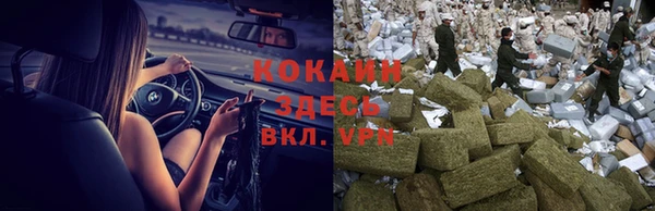 ECSTASY Богородицк